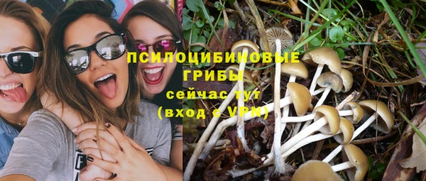 марки lsd Алексин