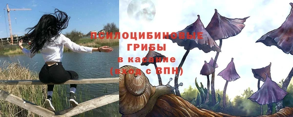 прущие крисы Алексеевка