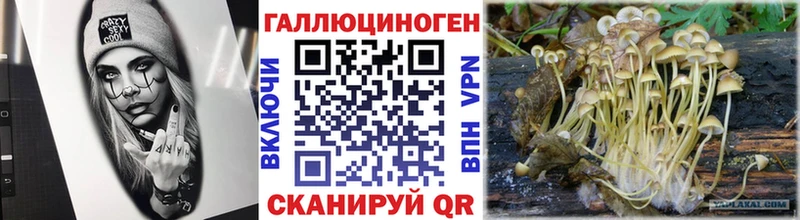 Псилоцибиновые грибы ЛСД mega Зверево